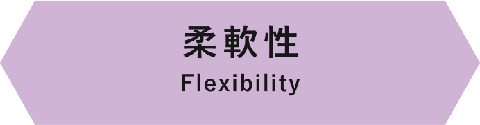 柔軟性